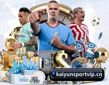 开云体育sportvip APP